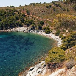 Cala murtra