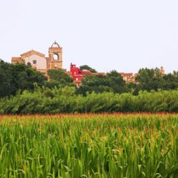 perelada