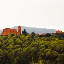 vilarig