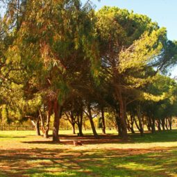 parque trabuc ampuriabrava