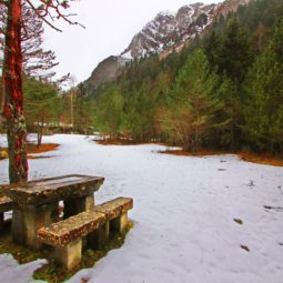 área de picnic ponin