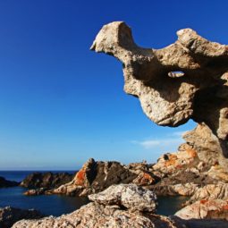 Paraje de Tudela, Cap de Creus