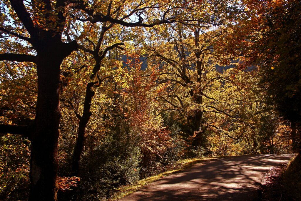 Escuaín, le balcon secret sur la vallée du Yaga Escuaín, el balcón secreto sobre el valle del Yaga
