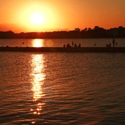paseo marítimo de rosas