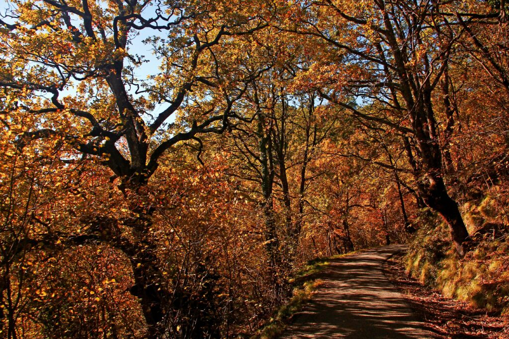 Visitez Bestué Visitez Bestué