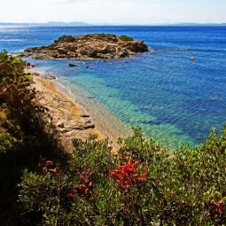 playa de bonifaci