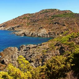 cala fornells