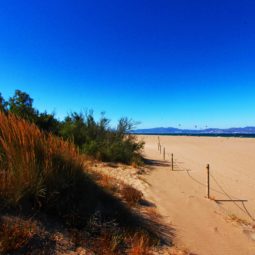 playa de las dunas