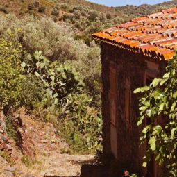 excursión molinás