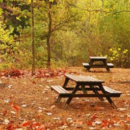 Picnic Font del Conill