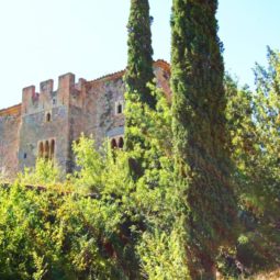 castillo de arenys