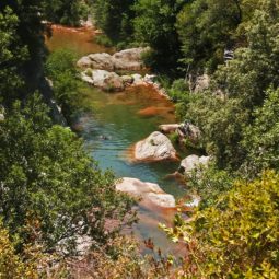 gorgues d'albanyà