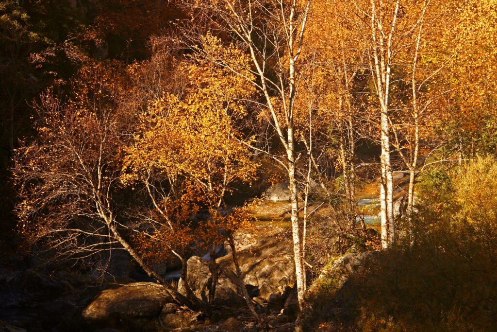 Escuaín, le balcon secret sur la vallée du Yaga Escuaín, el balcón secreto sobre el valle del Yaga