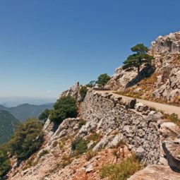 Santuario de la Mare de Déu del Mont