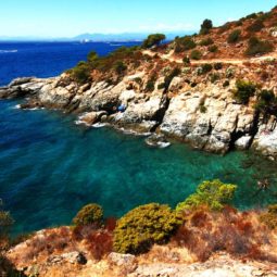 camino de ronda de rosas a cala murtra