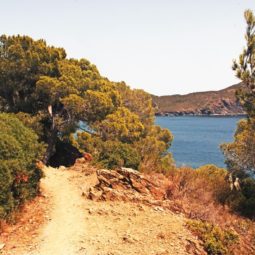 Camino de Cala Montjoi a Cala Rostella