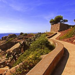 faro de rosas