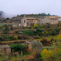 <strong>El encanto de Olsón</strong>