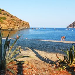 playa jóncols
