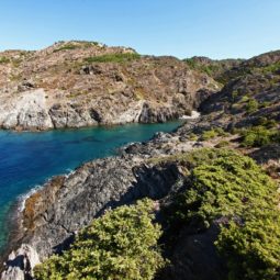 cala fornells