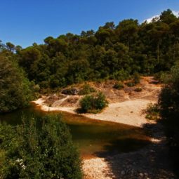 gorg de can bartolí