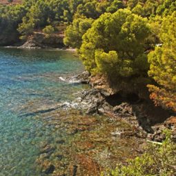 playa montjoi