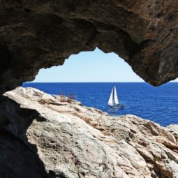 punta falconera