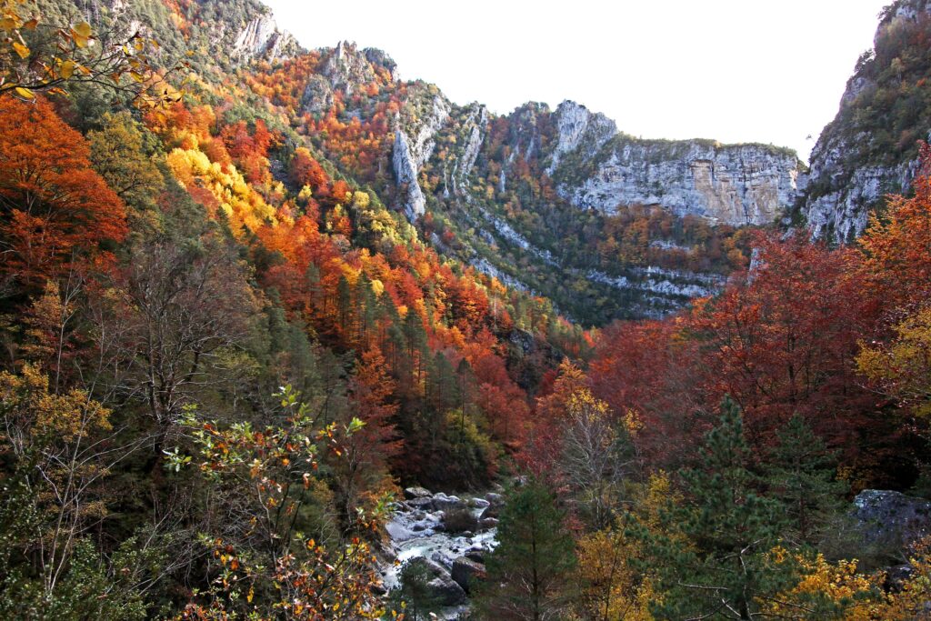 Comment visiter le Cañón de Añisclo pas à pas cañón de añisclo