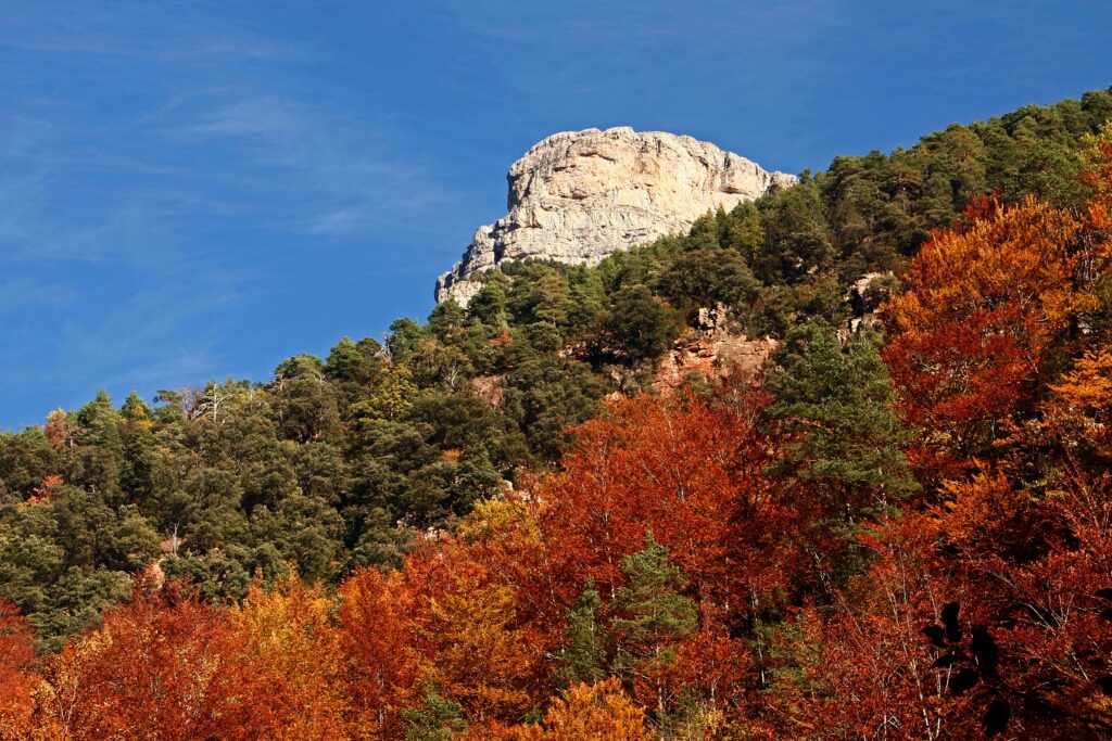 Comment visiter le Cañón de Añisclo pas à pas cañón de añisclo