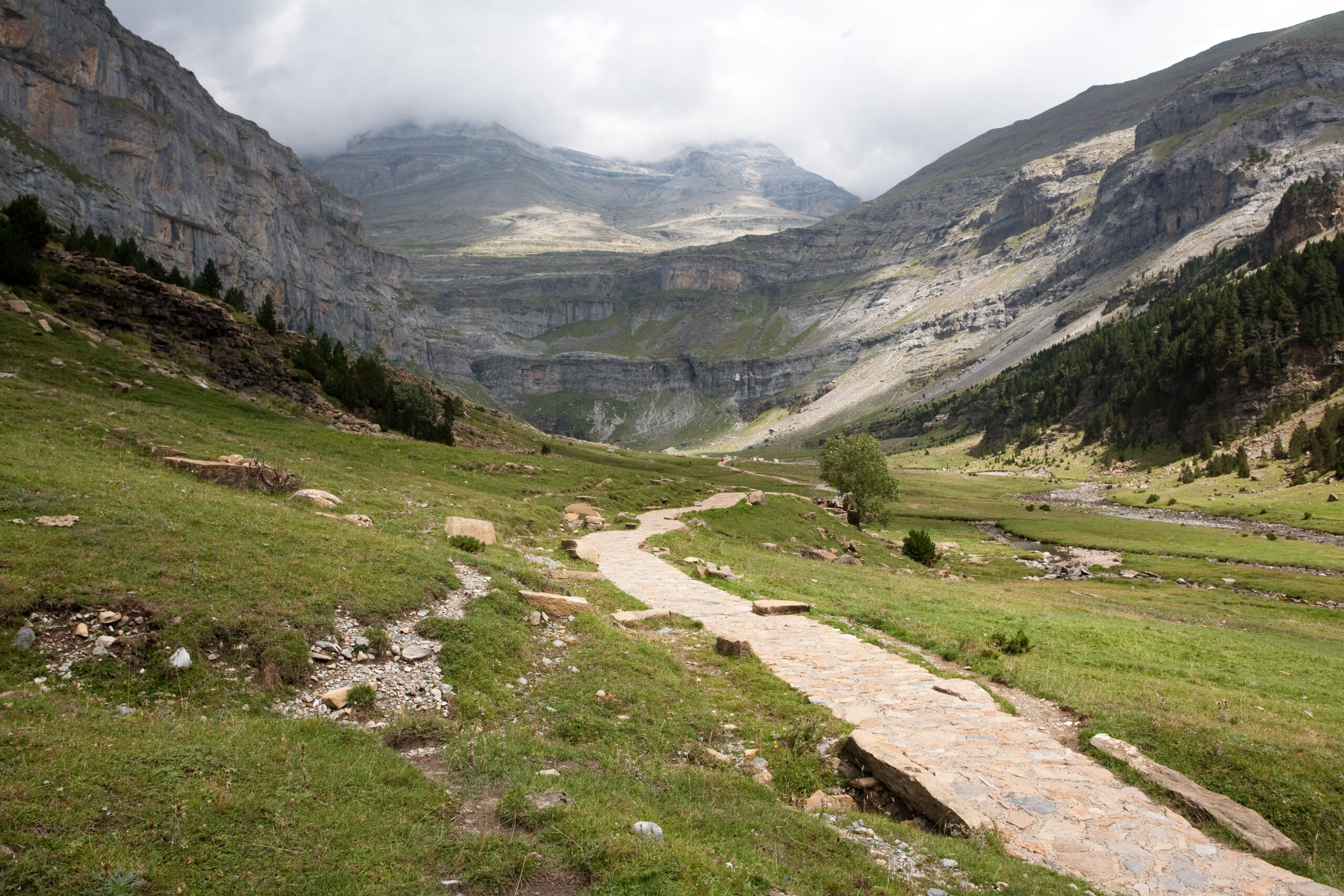 Tour des rapaces