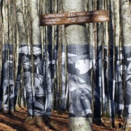 Perdez-vous dans la Forêt de Zilbeti