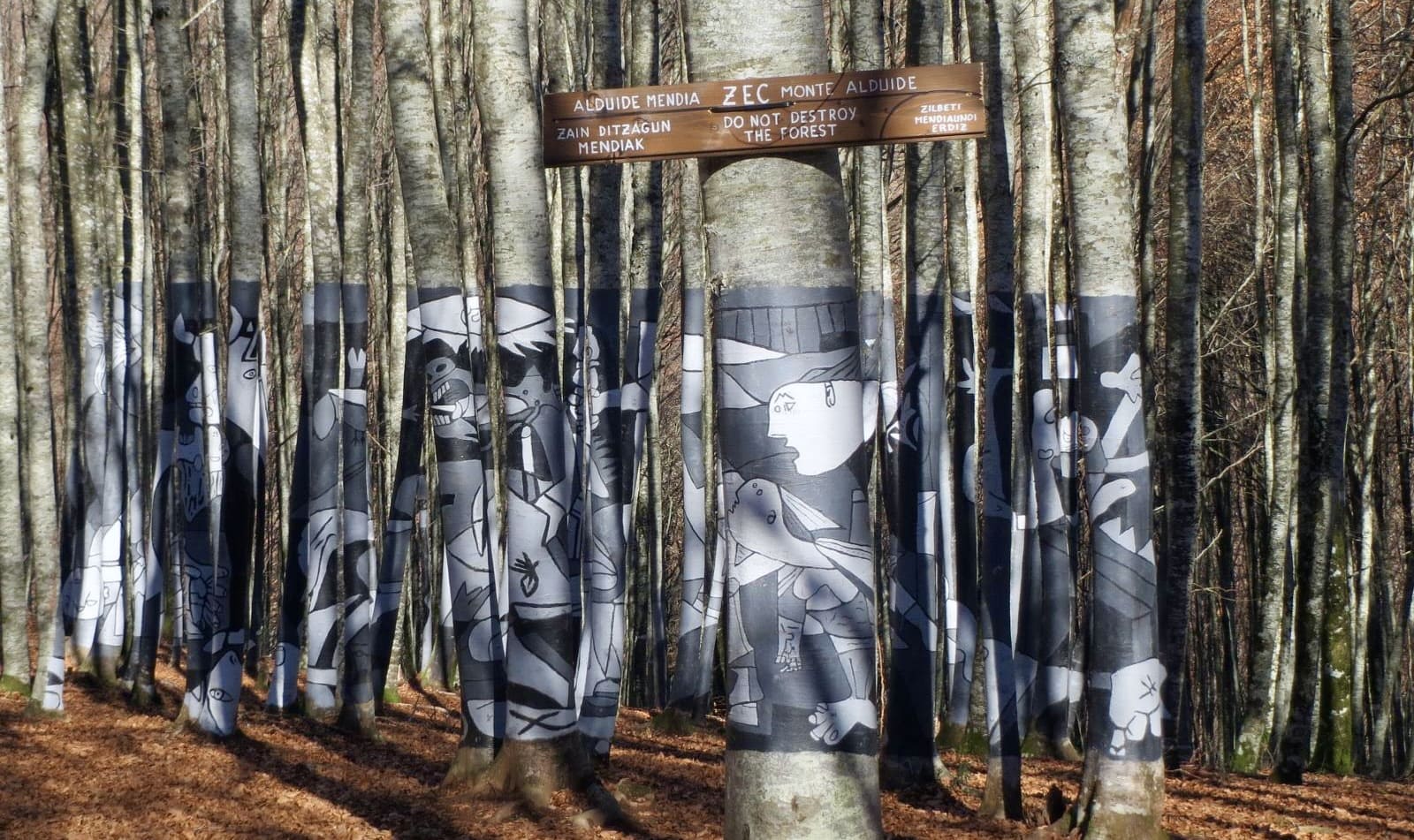 Forêt de Zilbeti