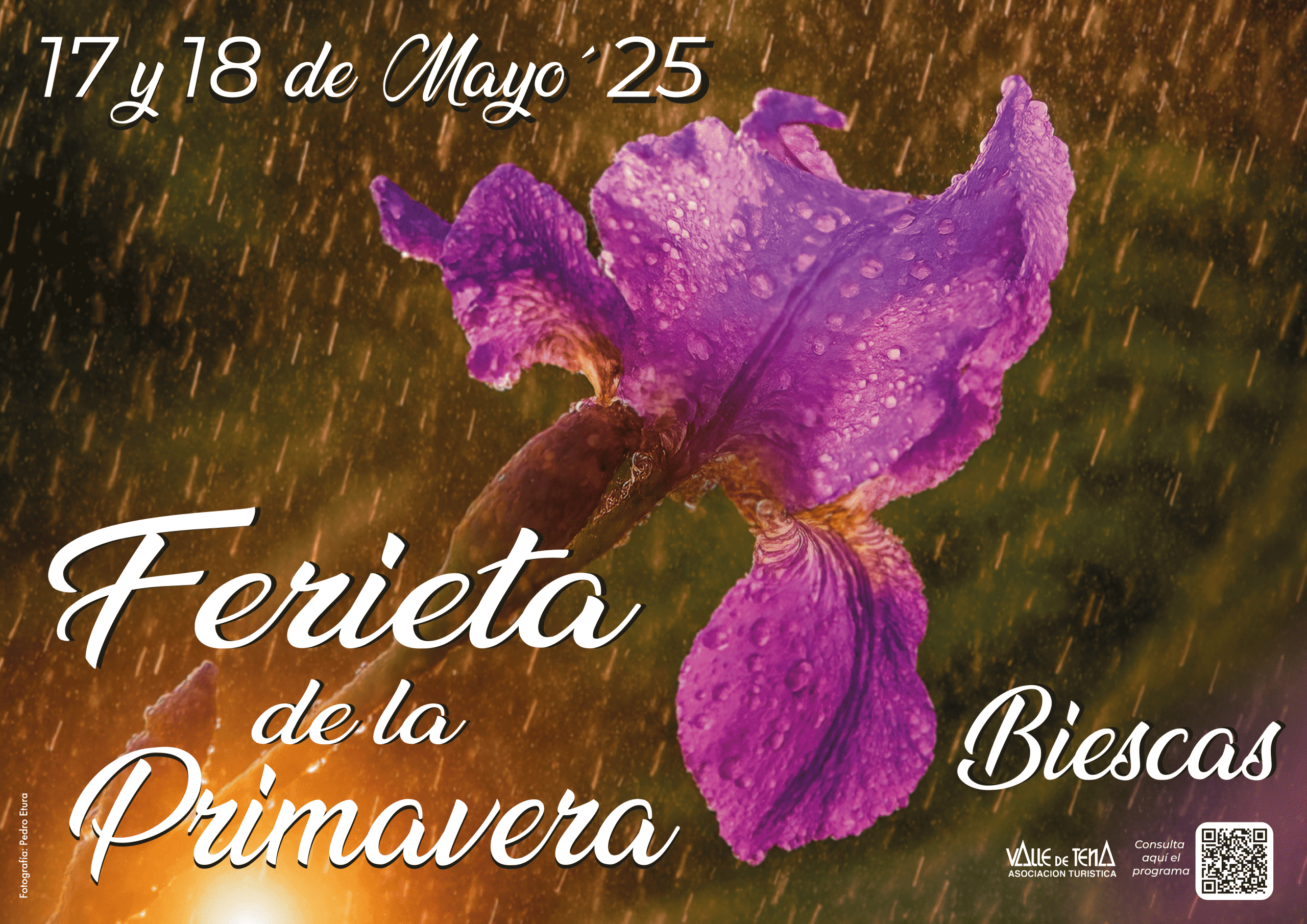 feria de primavera de biescas