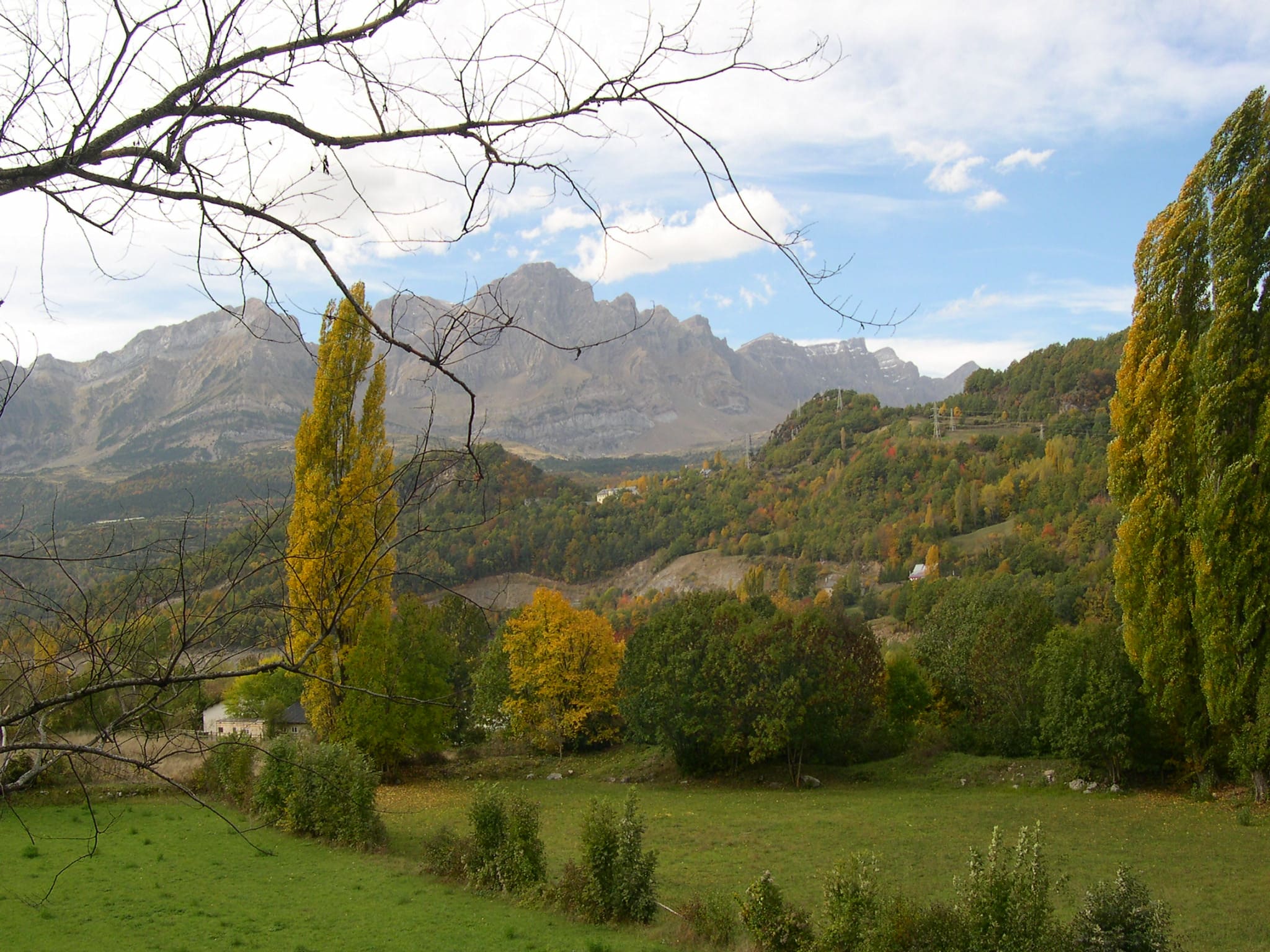 Paseos a caballo por el Pirineo Aragonés  Caballo_Pirineo_Aragonés