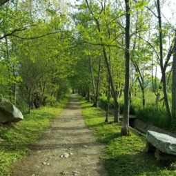 Camí dels enamorats puigcerdà