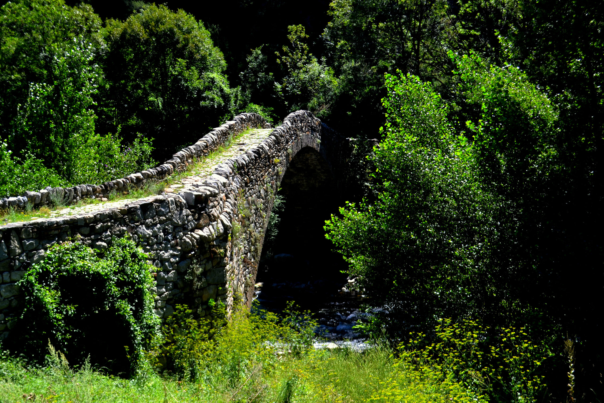 Cami de Ral, ancienne voie médiévale