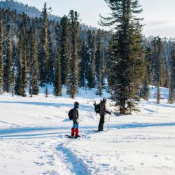 Le chemin de Sant Joan de l’Erm en raquettes à neige