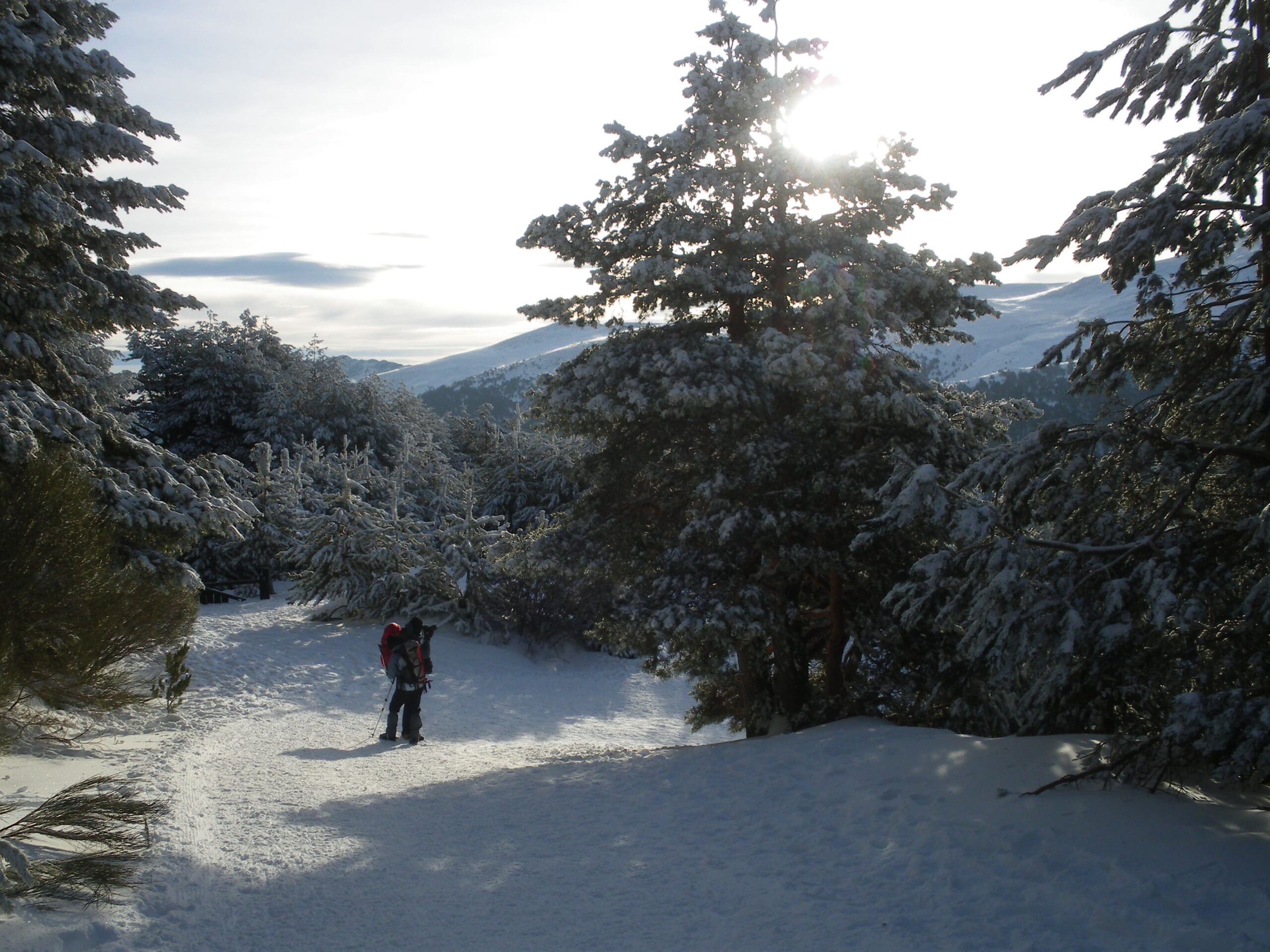 Le chemin de Sant Joan de l'Erm en raquettes à neige