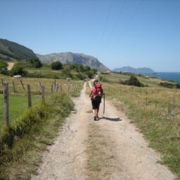El Camino de Santiago en el País Vasco