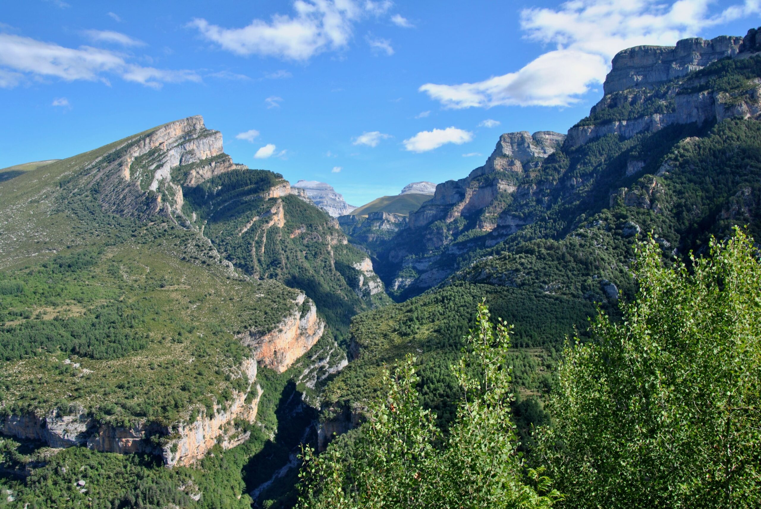 Cañón de Añisclo