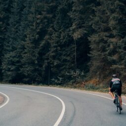 Ruta ciclo flor