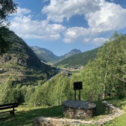 camí del gall