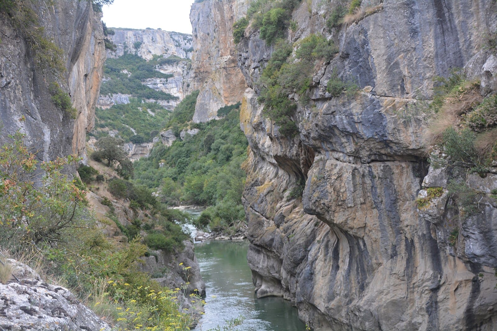 Foces de Lumbier y Arbayún