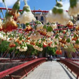 ¿Qué ver en la fiesta Girona Temps de Flors?