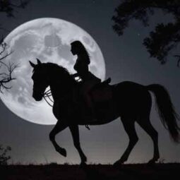 Noches a caballo en el Valle de Tena