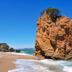 Plage Illa Roja, plongée à Begur