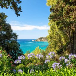 Paseo con vistas al mar por los Jardines de Santa Clotilde