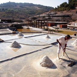Las salinas de Añana