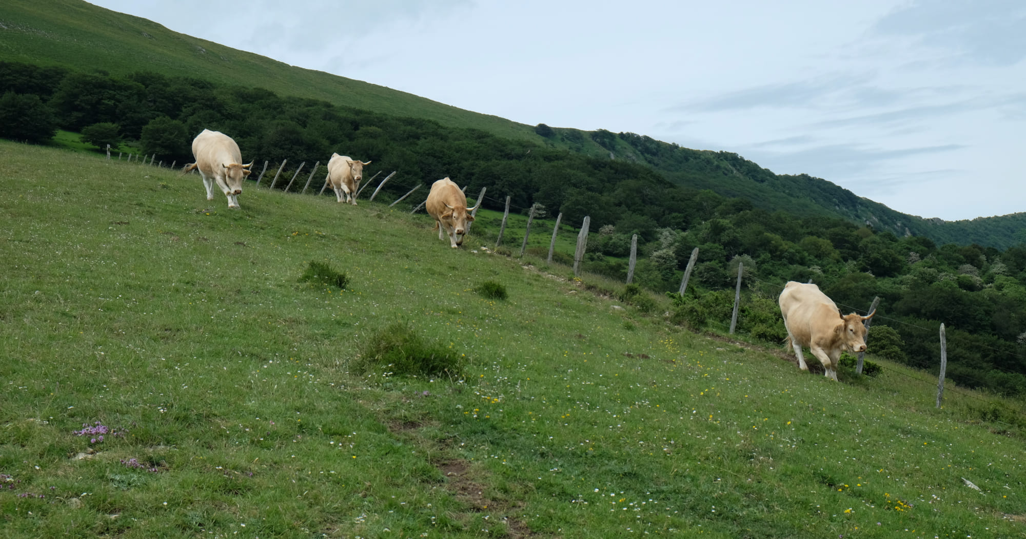 Monte San Marcial Irun