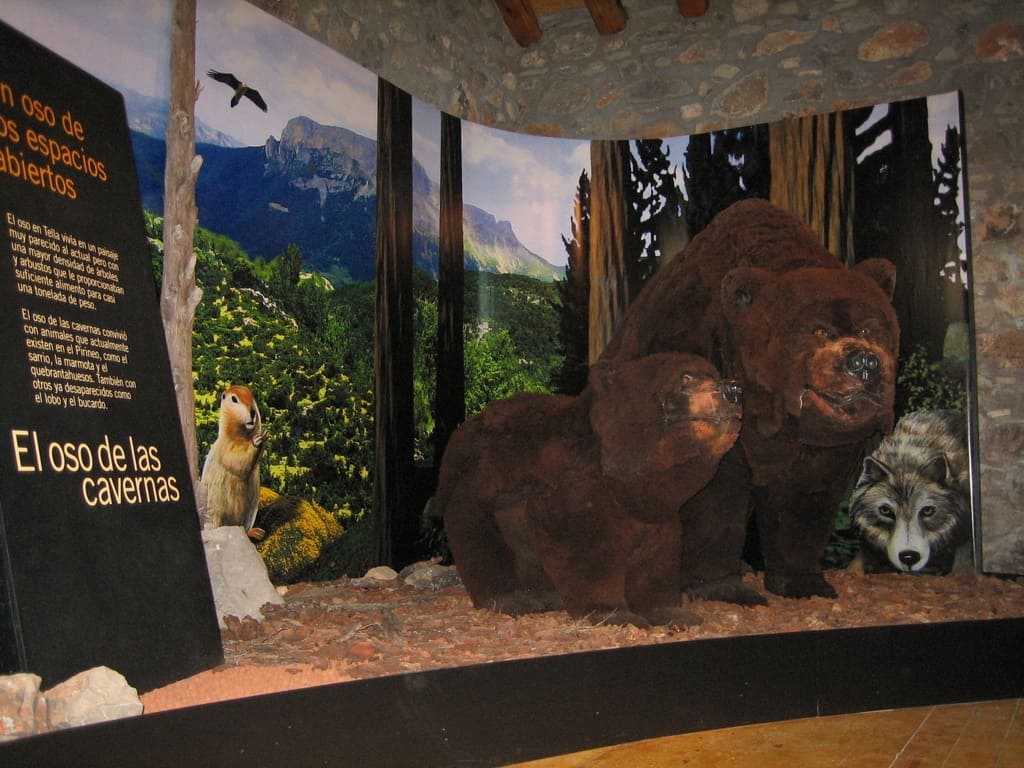 Musée de l’ours des cavernes de Tella-Sin Musée de l'ours des cavernes de Tella-Sin